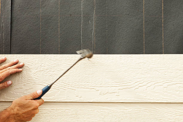 Best Brick Veneer Siding  in Lapwai, ID